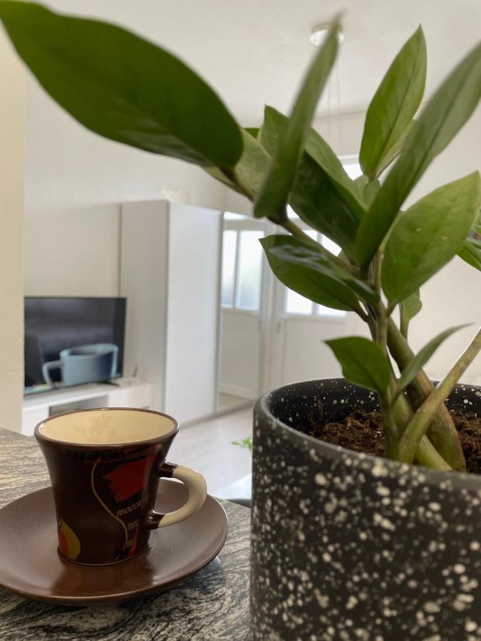 Apartmani Andric 트레빈예 외부 사진