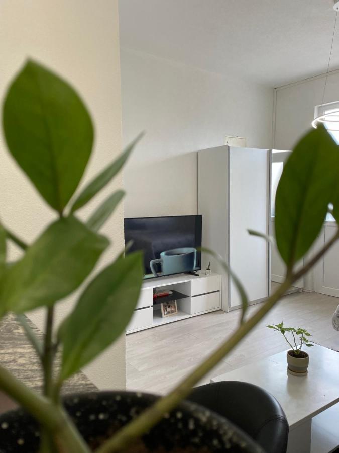Apartmani Andric 트레빈예 외부 사진